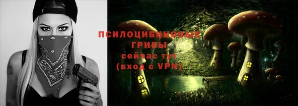 первитин Медвежьегорск