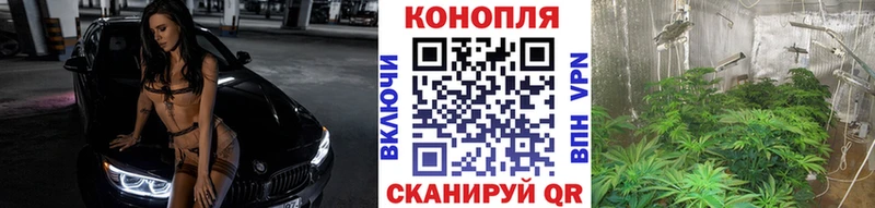Бошки марихуана Ganja  Дмитровск 